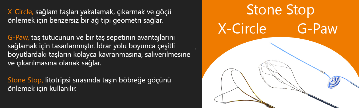 Arılar Sağlık fotoğraf 5