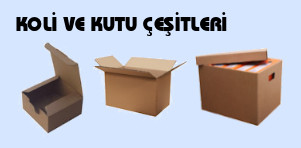TTS AMBALAJ SARF MALZEME SANAYİ TİC. LTD. ŞTİ. fotoğraf 2