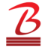 BLG Rubber logosu