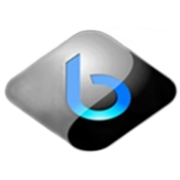 Briterra logosu