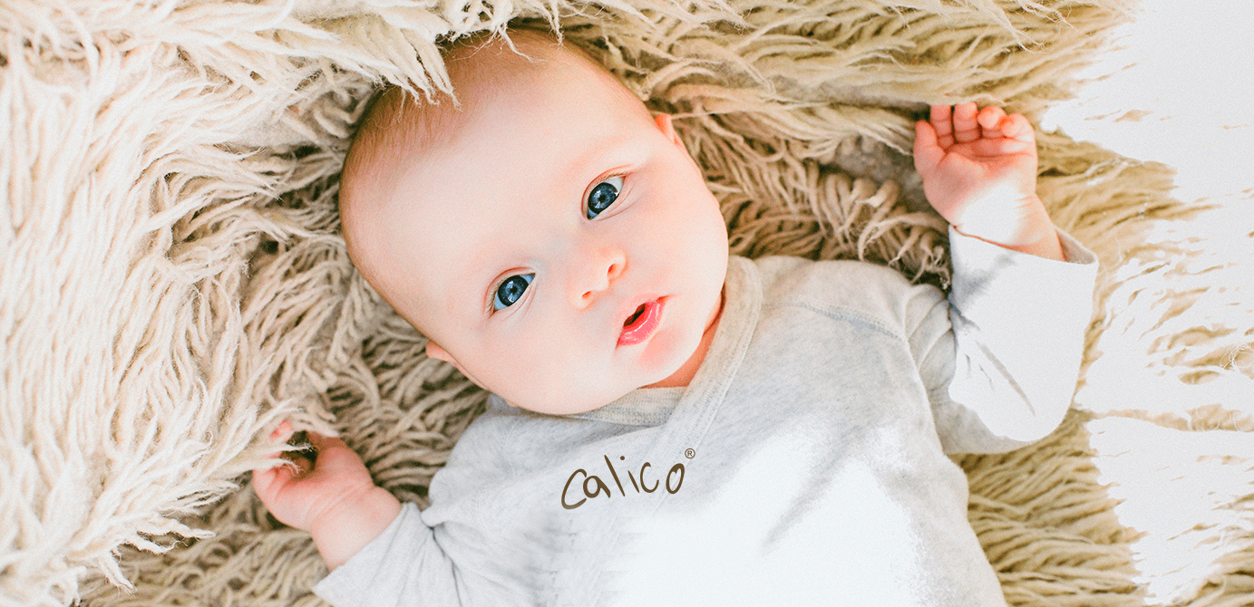 Calico ( Kaliko ) Tekstil fotoğraf 1