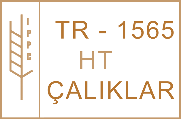 Çalıklar Palet fotoğraf 1