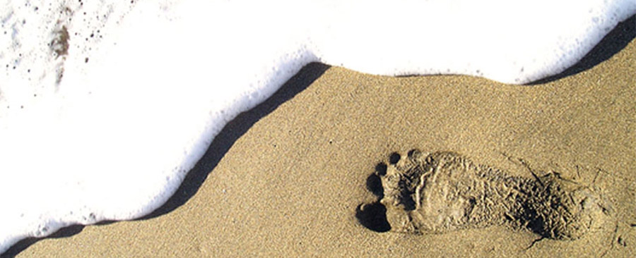 Currex Sole fotoğraf 5