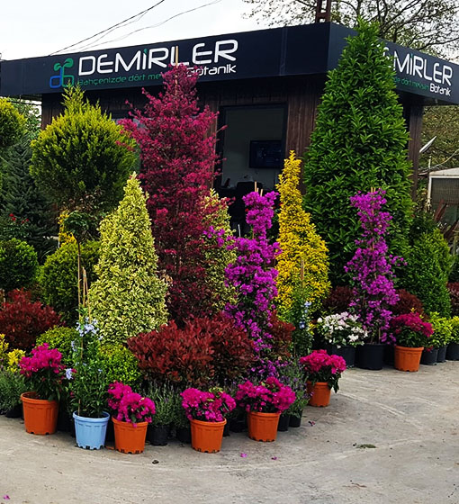 Demirler Botanic fotoğraf 1
