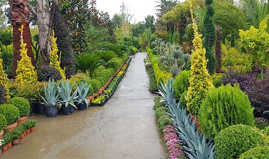 Demirler Botanic fotoğraf 4