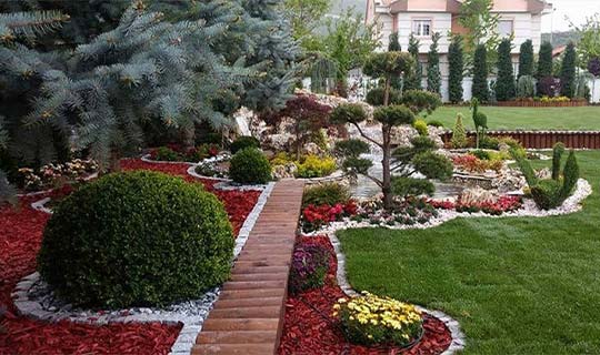 Demirler Botanic fotoğraf 5