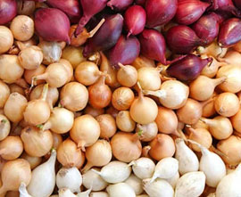 Disa Tarımsal fotoğraf 5