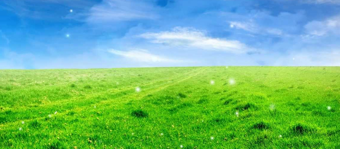 Erzincan Merkez Tel fotoğraf 1
