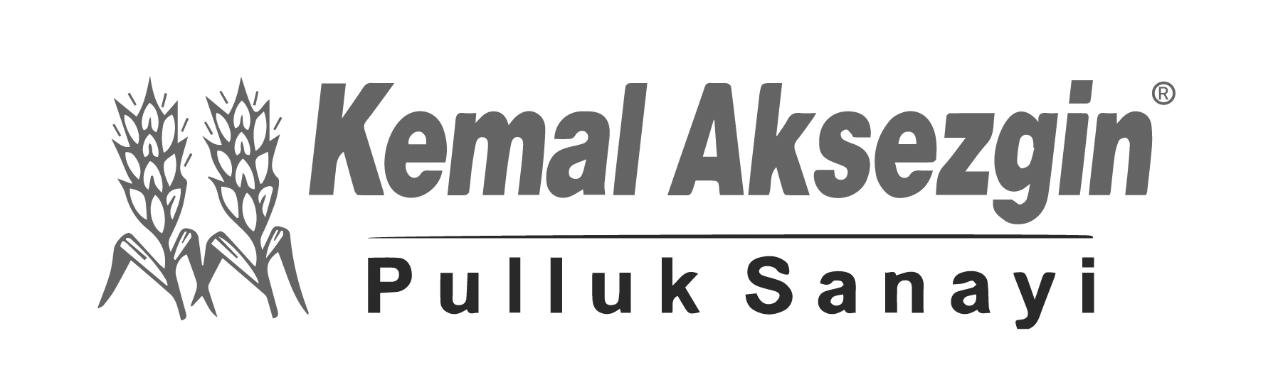 Kemal Aksezgin Pulluk fotoğraf 1