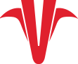 Rotavet Ltd Sti logosu