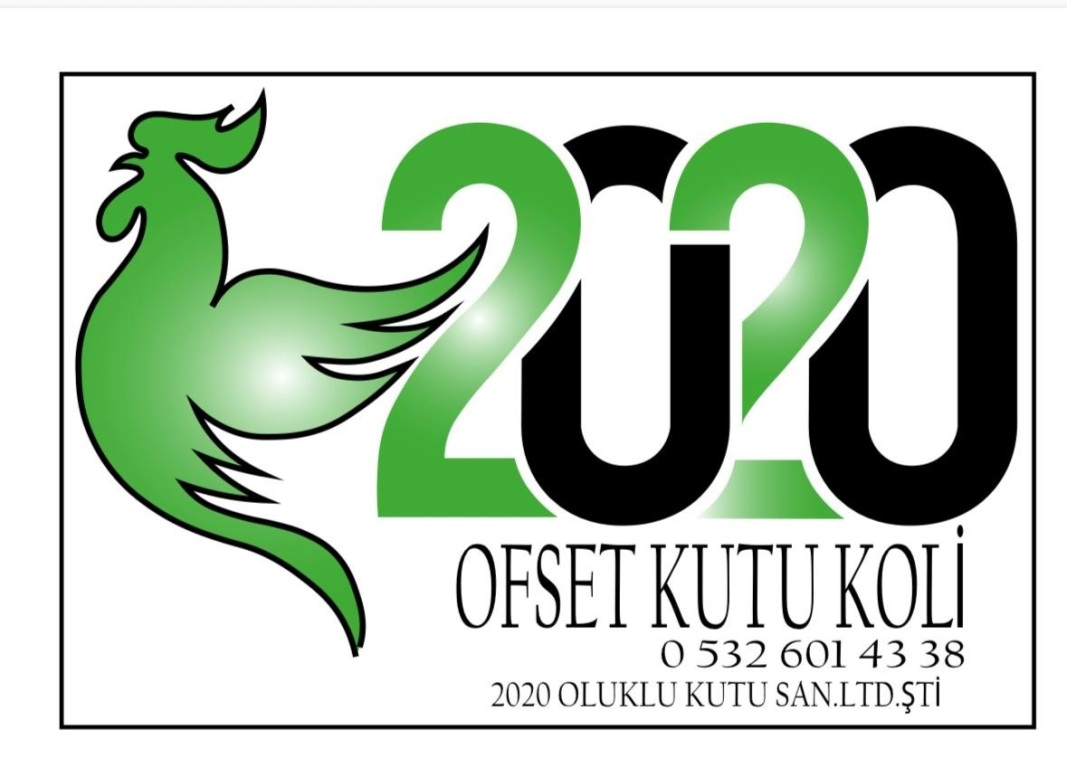 Denizli 2020 Ofset | Denizli Kutu Dijital Baskılı Koli Ambalaj | Denizli Matbaa fotoğraf 1