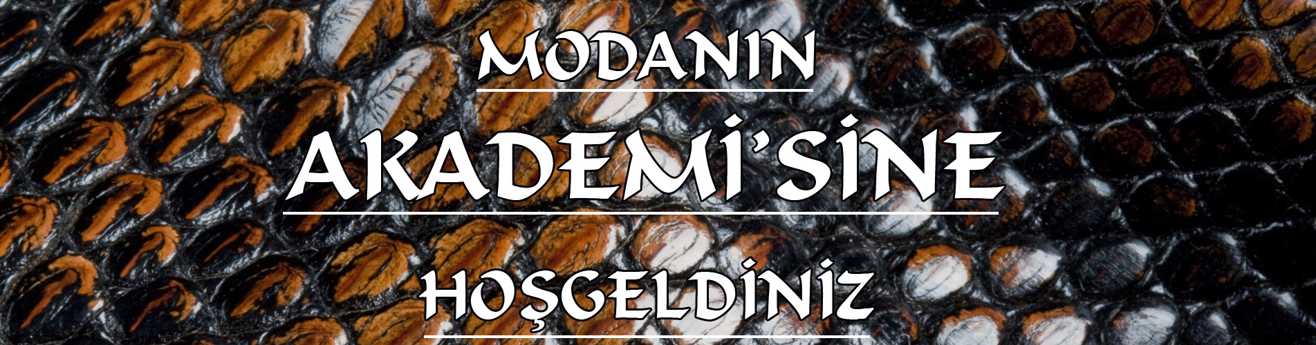 Akademi Deri Tekstil San. Ve Tic. Ltd. Şti. fotoğraf 1