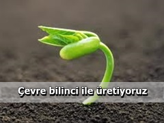 Aydın Oto Öz Döküm fotoğraf 2