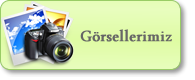 Böğürtlen Fidanı fotoğraf 2
