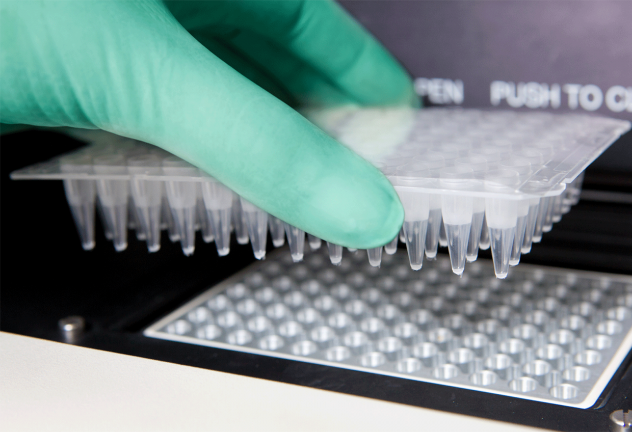 Cg Life Sciences fotoğraf 4