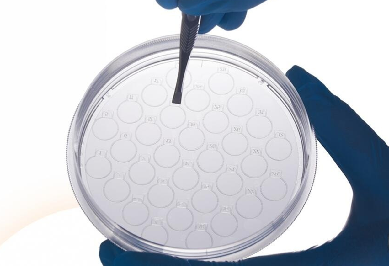 Cg Life Sciences fotoğraf 1
