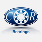 CR srl logosu