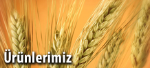 Diriler Çaykur Malatya Bayi fotoğraf 4