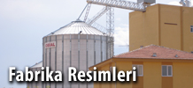 Diriler Çaykur Malatya Bayi fotoğraf 5
