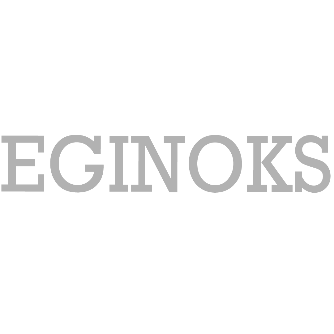 Eginoks Krom Makina fotoğraf 2