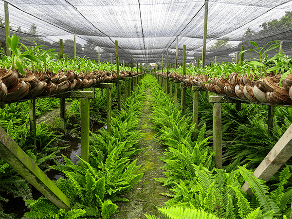 Ekonet Tekstil Ve Ambalaj Sanayi Ticaret Anonim Şirketi fotoğraf 5