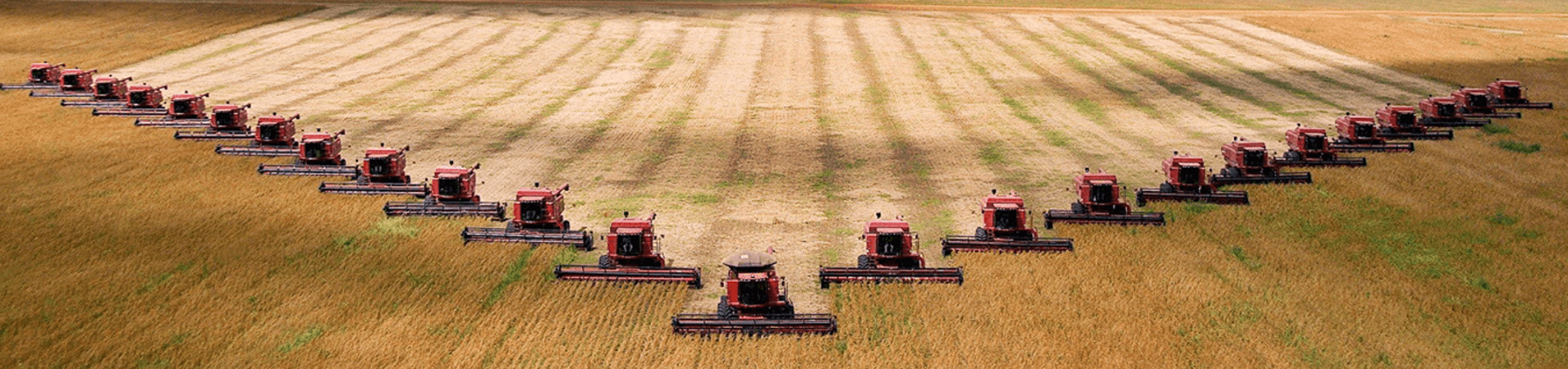 ELİT AGRO GIDA SAN VE TİC A.Ş. fotoğraf 1