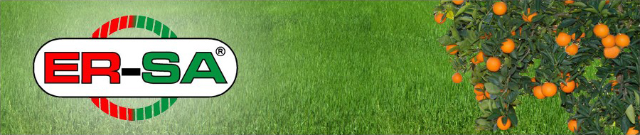 Er-Sa plastik fotoğraf 3