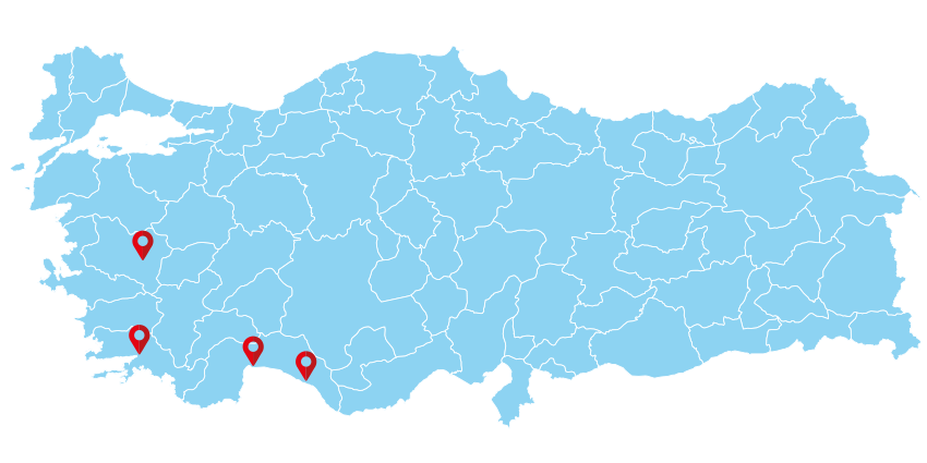 ERDOĞAN EKİNCİ YAŞ SEB MEY VE GIDA İTH İHRC LTD ŞTİ fotoğraf 2