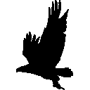 Kafkas Gümrükleme logosu
