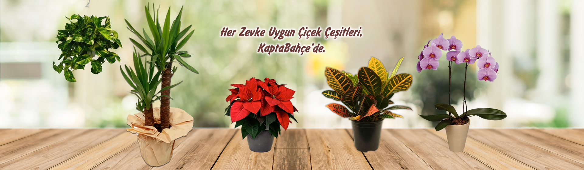 Kaptabahçe fotoğraf 4