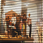 Kepsan alüminyum fotoğraf 5