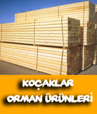 Koçak Kereste fotoğraf 4