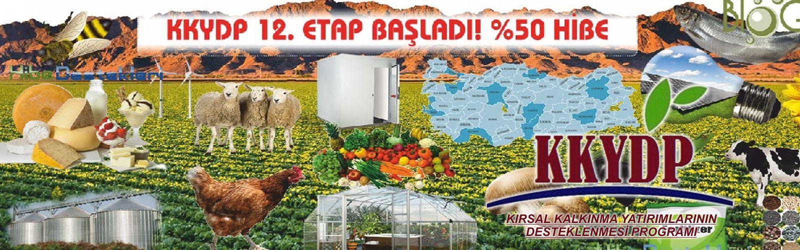 Kurdoğlu-Farmıx Yem Karma Makinaları fotoğraf 2