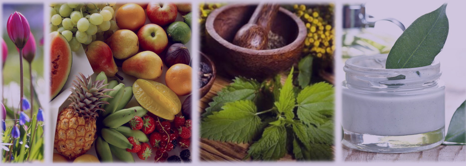 MEDİPORT MEDİKAL VE İLAÇ TİC.LTD.ŞTİ. fotoğraf 3