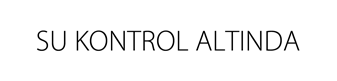 Mısırlı fotoğraf 2