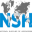 Nsh Grup logosu