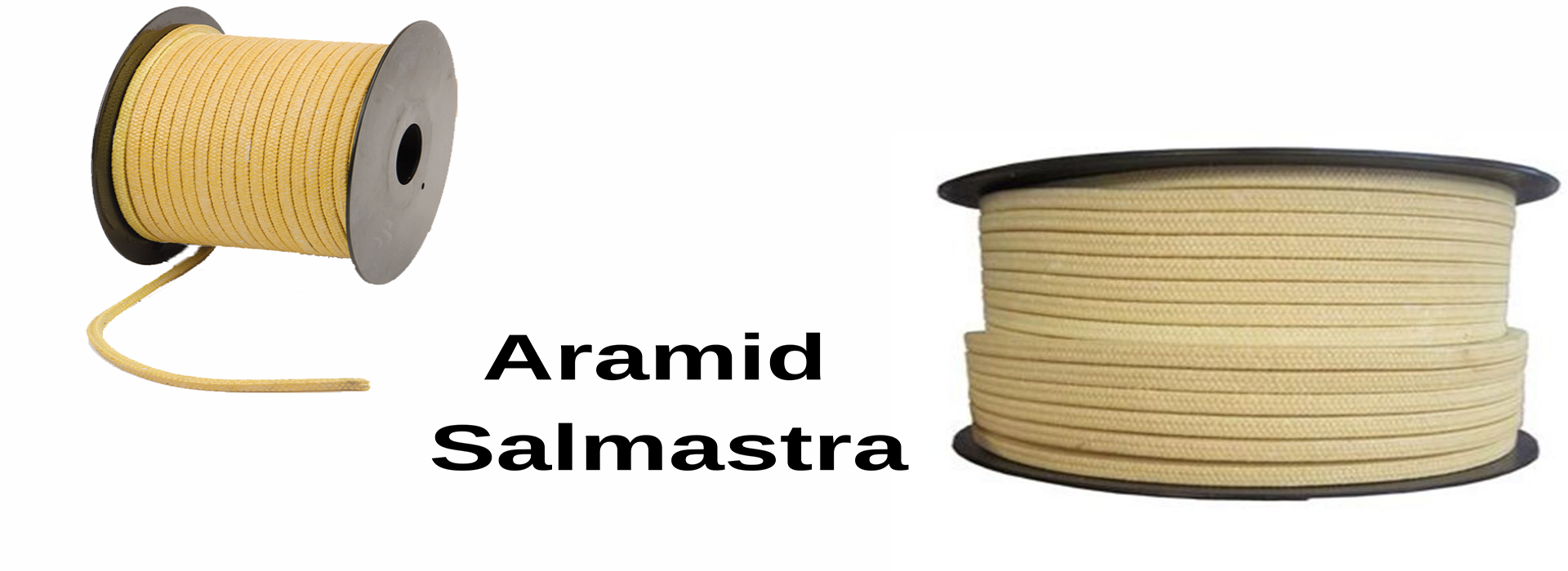 Odak Salmastra fotoğraf 4