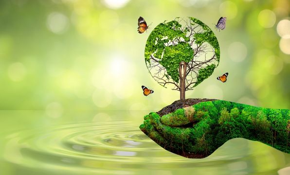 Ozgen Plastik fotoğraf 5