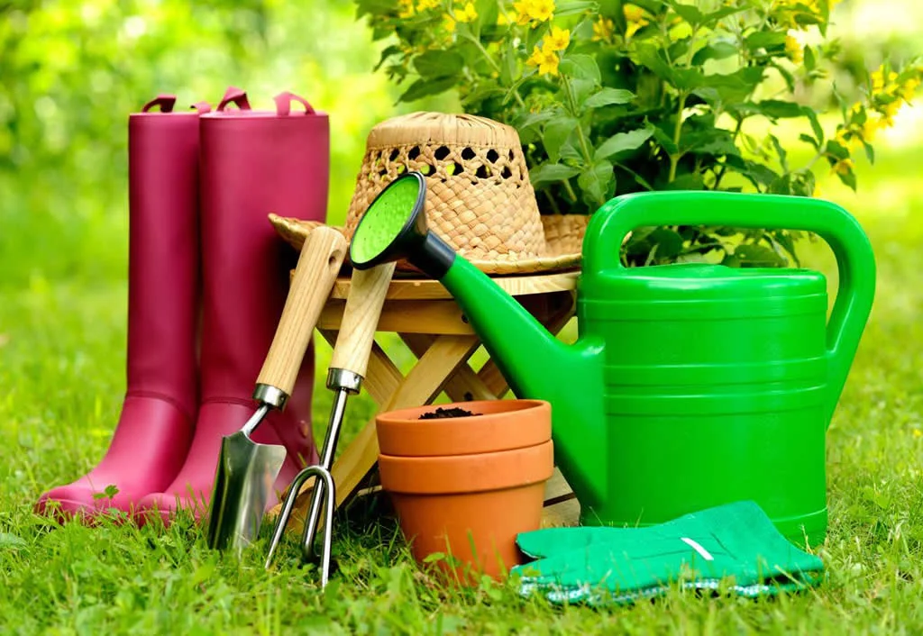 Dünya Plastik fotoğraf 1