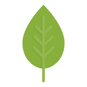 SerCarbon logosu