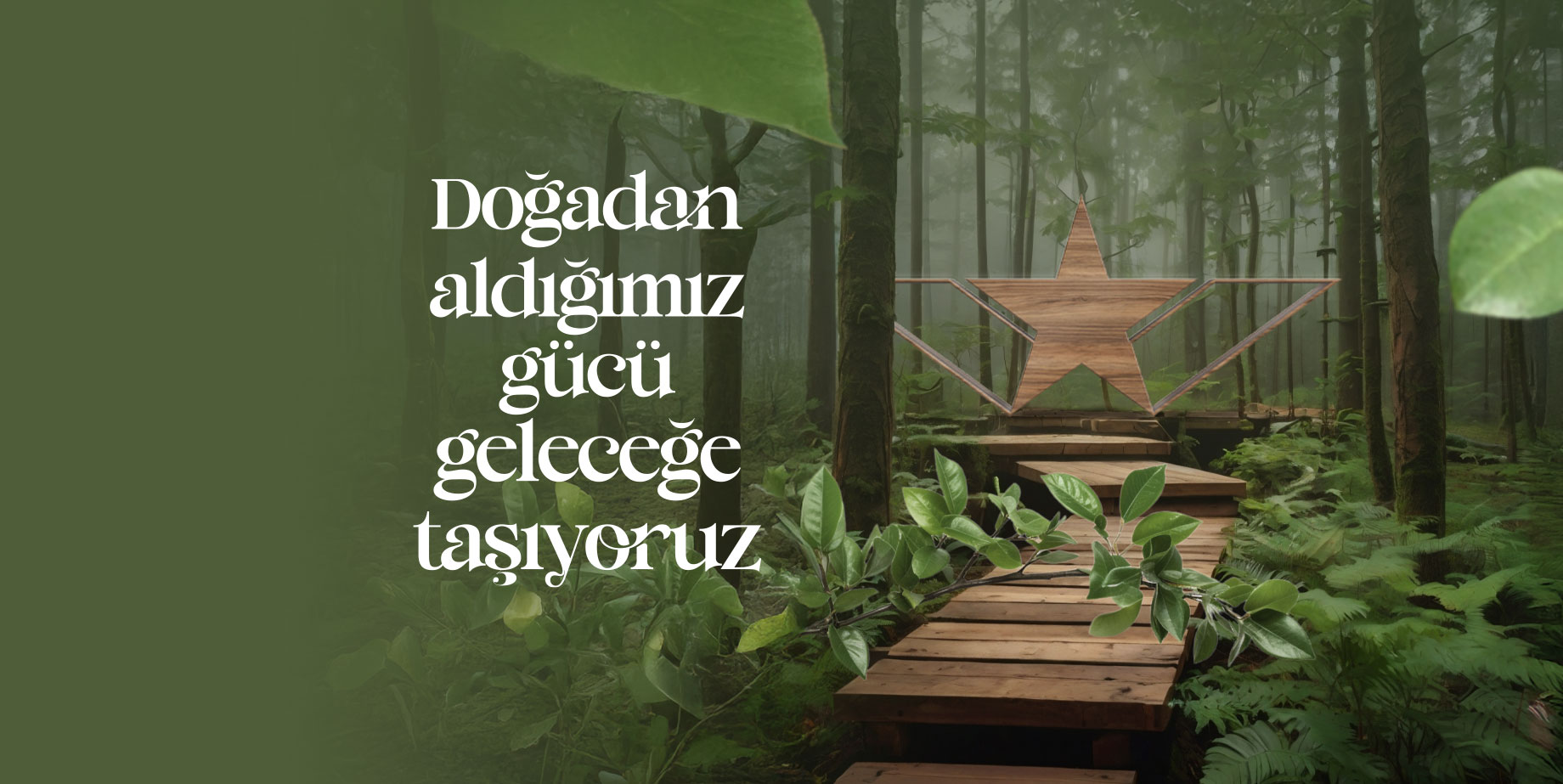 STARWOOD Orman Ürünleri A.Ş. fotoğraf 4