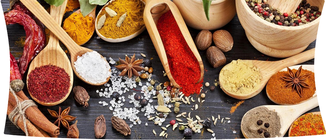 Terka Baharat fotoğraf 1