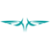 Tulpar Medical Solutions logosu