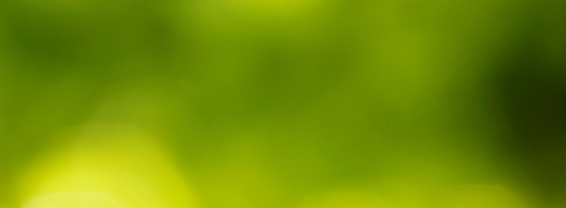 Uran Kayış Kasnak Konveyör fotoğraf 3