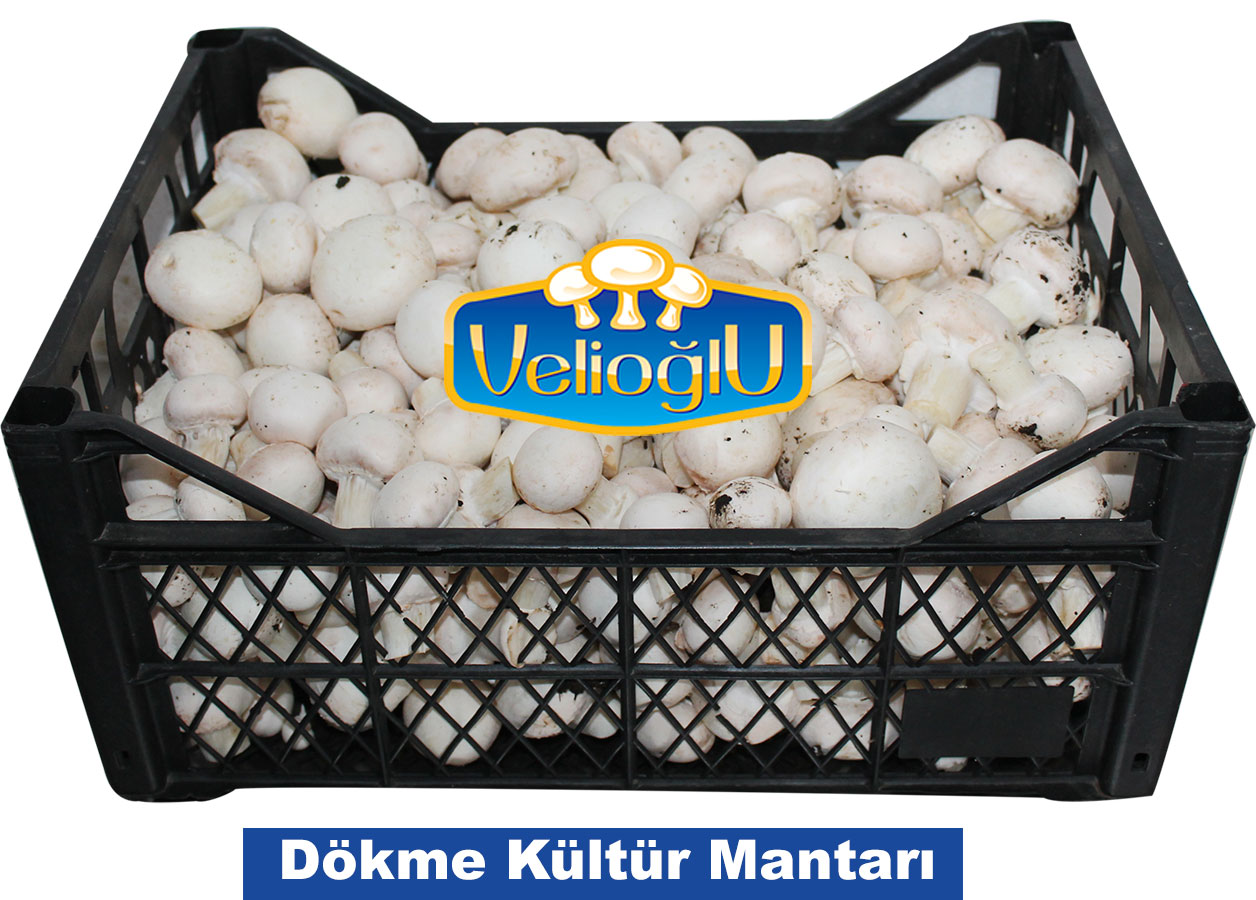 Velioğlu Mantar fotoğraf 5