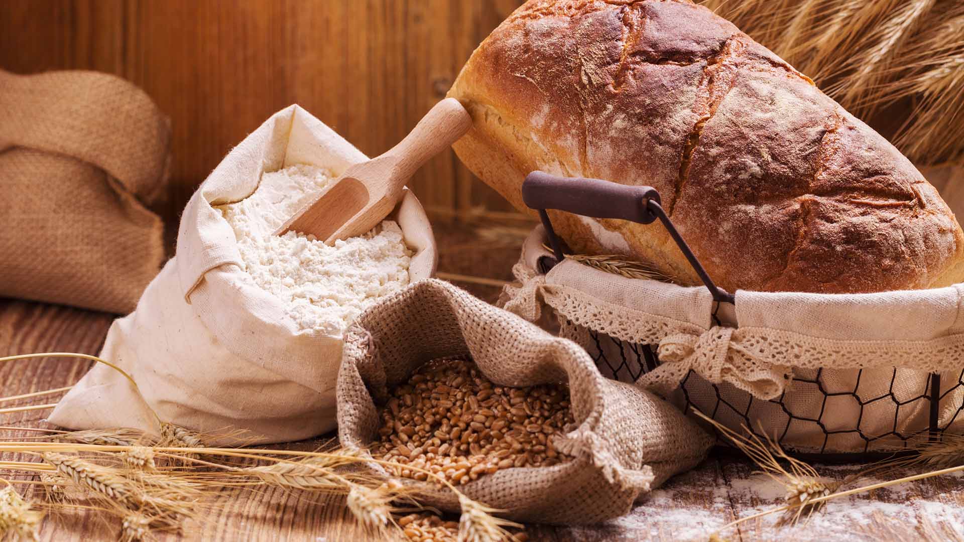 Win Agro Gida Anonim Şirketi fotoğraf 2
