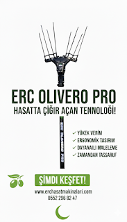 ERC Zeytin hasat makina fotoğraf 3