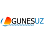 GUNESUZ - Güneş Enerji Uzmanı - Proje / Danışmanlık logosu
