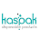 Kaspak Sağlık - Tek kullanımlık Ürünler logosu