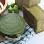 Greeno Cosmetics Co. Ltd. logosu